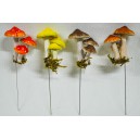 грибы GZ0117-2,5,6,7