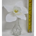Orhidea BUR-FME071-603